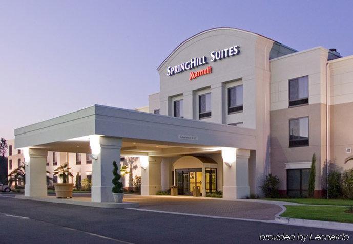 Springhill Suites By Marriott Voorhees Mt. Laurel/Cherry Hill Экстерьер фото